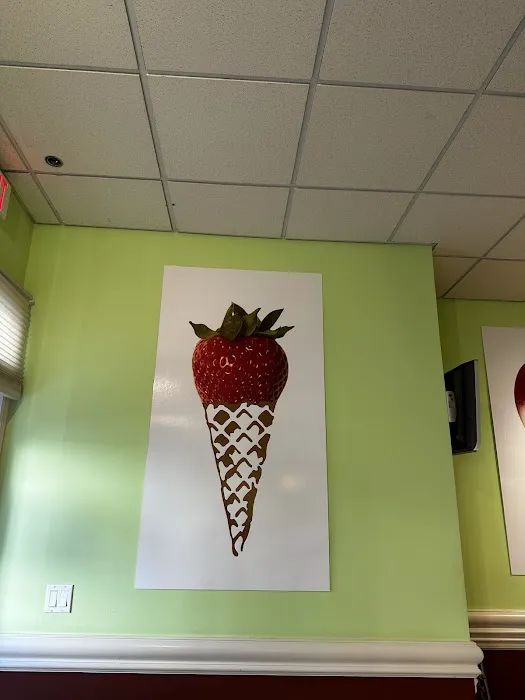 Gelatissimo Artisan Gelato Picture 7