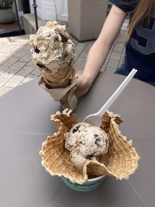 Van Leeuwen Ice Cream Picture 6