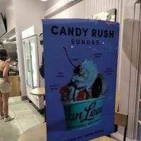 Van Leeuwen Ice Cream ico