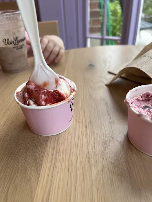 Van Leeuwen Ice Cream Picture 8