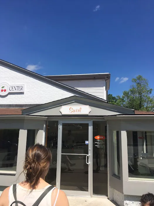 Swirl Frozen Yogurt Picture 2