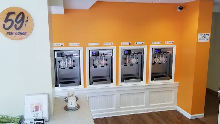 Swirl Frozen Yogurt Picture 6