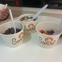 Swirl Frozen Yogurt ico