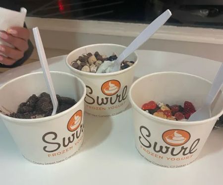 Swirl Frozen Yogurt