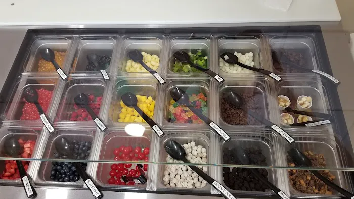 Swirl Frozen Yogurt Picture 4