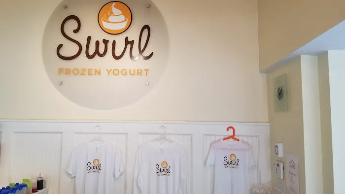 Swirl Frozen Yogurt Picture 3