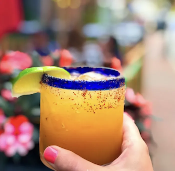 Tequila Mockingbird Picture 3