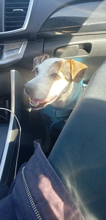 Corbo's Corner Deli West Picture 5