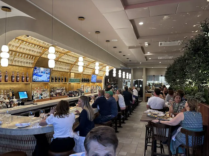 Molto Darien Picture 6