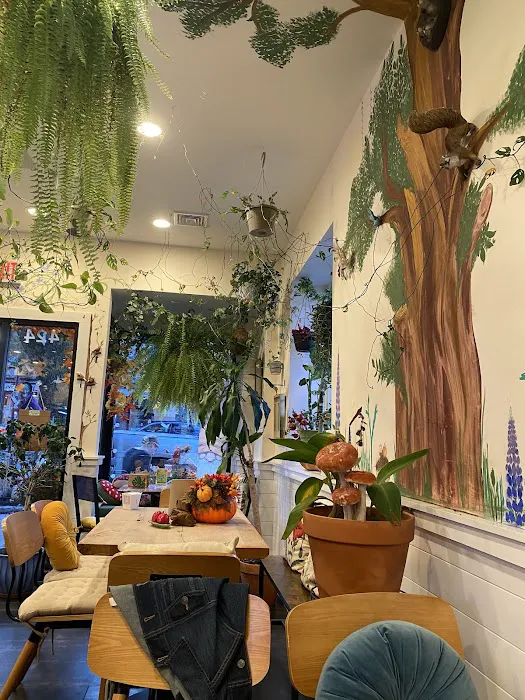 Botanika Cafe Ridgefield Picture 10