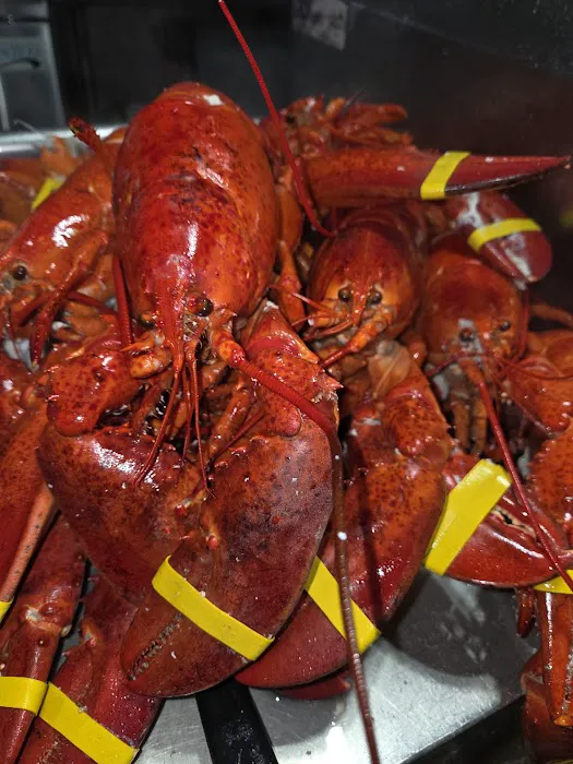 Sunset fish & lobster market & grill Picture 1