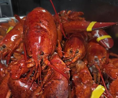 Sunset fish & lobster market & grill