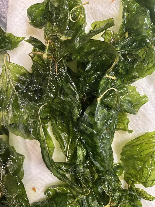 Zozo's On The Bay Picture 9