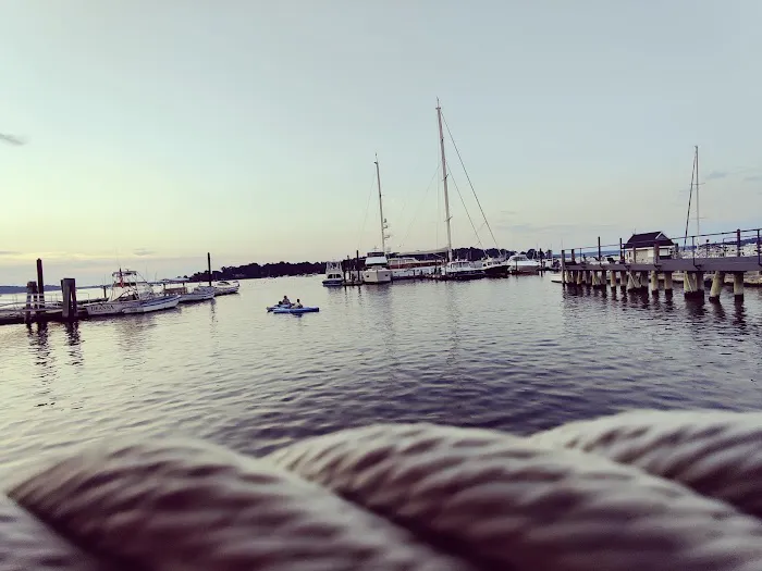 Cooper Bluff - Waterfront Bar Picture 7