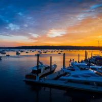 Cooper Bluff - Waterfront Bar ico