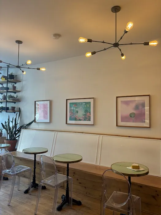 Southdown Coffee - Oyster Bay Picture 8