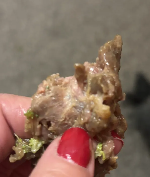 happygarden Picture 2