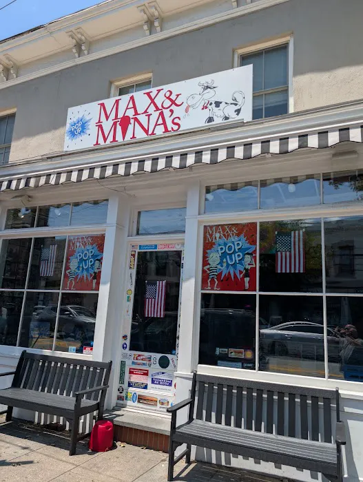 Max & Mina's Pop Up Picture 5