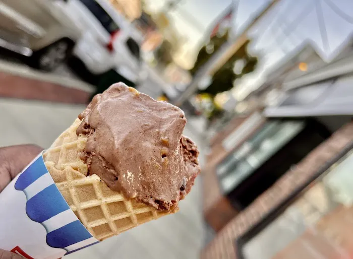 Max & Mina's Pop Up Picture 7