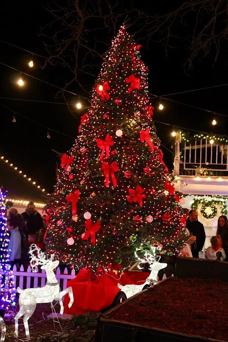 The Milleridge Bakery Picture 4