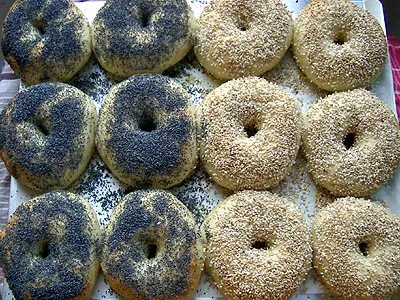 National Bagel Association Picture 2