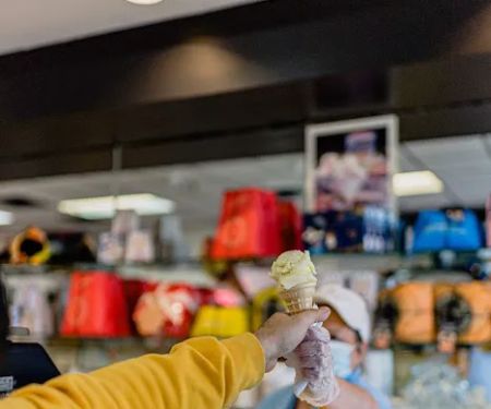 Stellina Bakery & Cafe