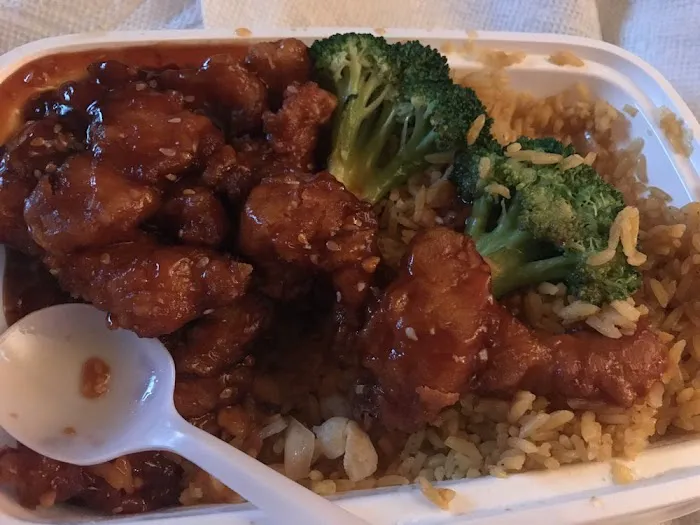 Panda Chinese Food Picture 10