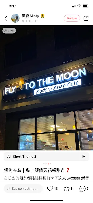 Fly Me To The Moon Picture 2