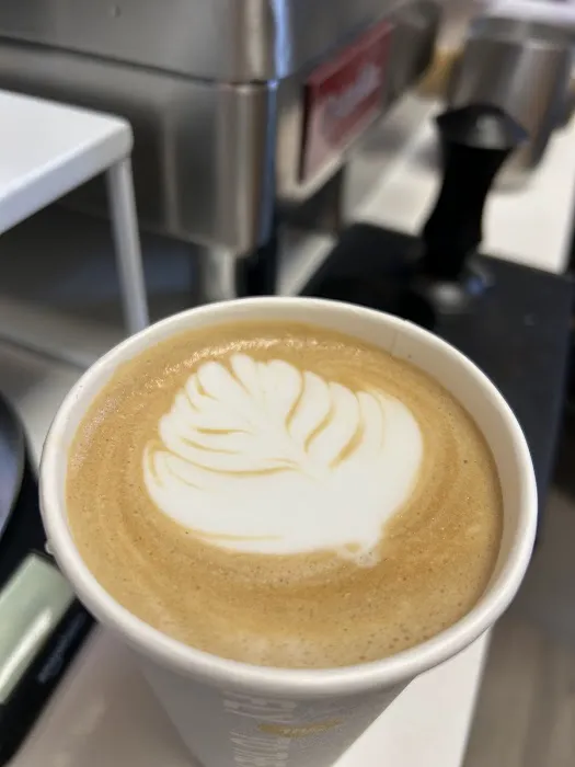 Fly Me To The Moon Picture 5