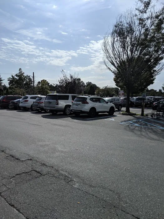 Lia's Pizzeria Picture 2