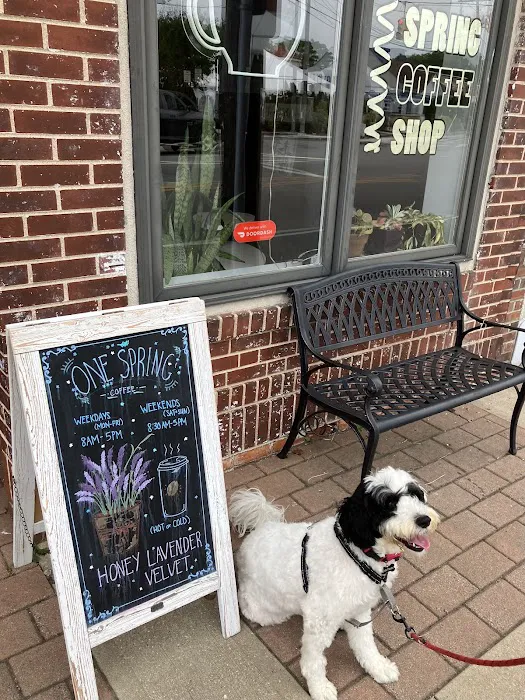 One Spring Coffee Shop Picture 4