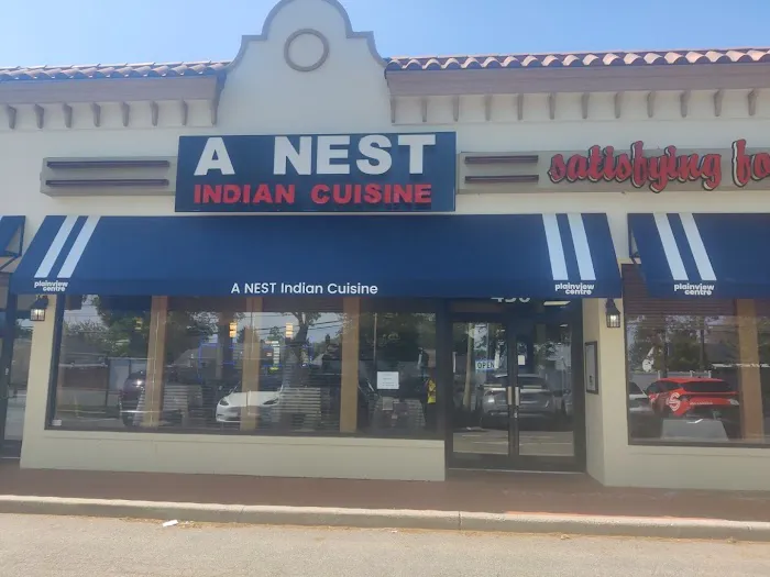 A Nest Indian Cuisine Picture 10