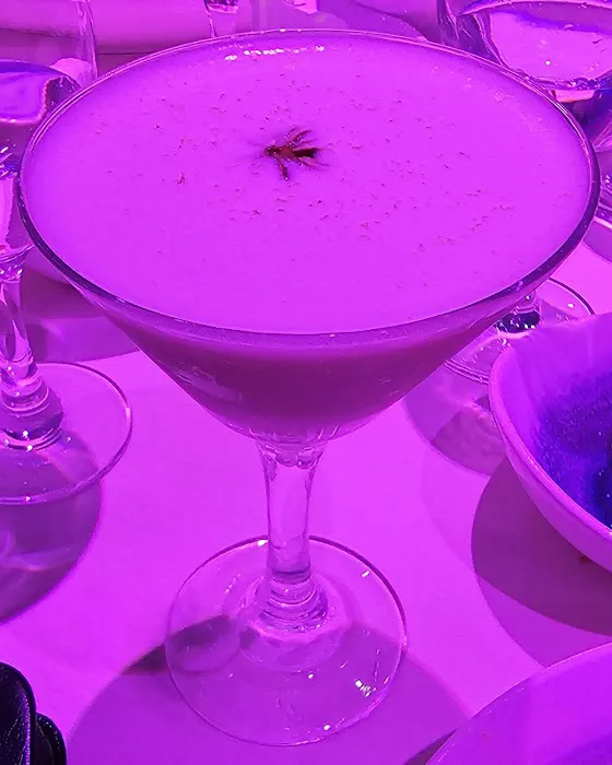 Rikka Fusion Grill Picture 6