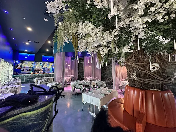 Rikka Fusion Grill Picture 7