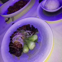 Rikka Fusion Grill ico