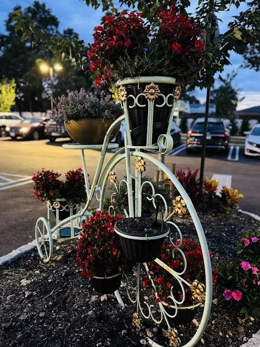 Filli Cafe Picture 9