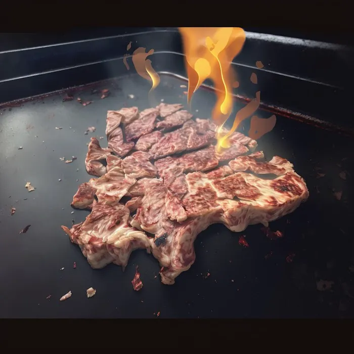 Teriyummy Japan Picture 2