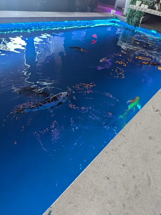 Jade Eatery and Lounge Picture 1