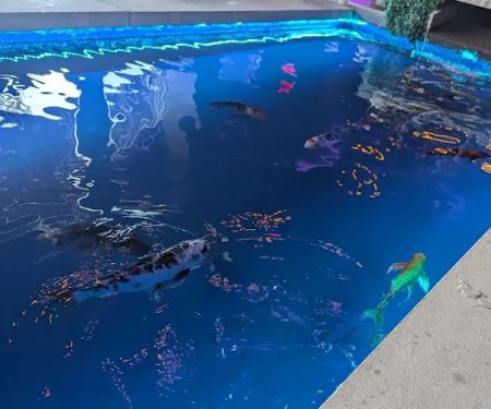 Jade Eatery and Lounge