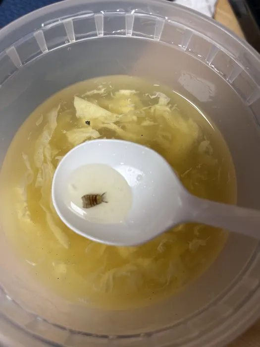 Peking House Picture 4