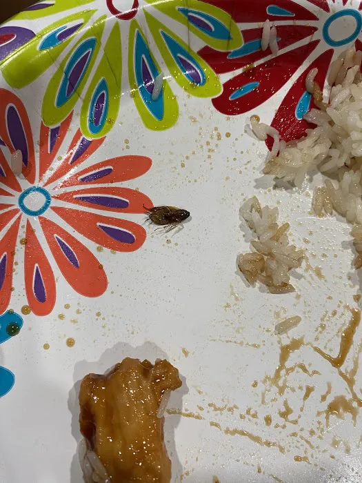 Peking House Picture 5