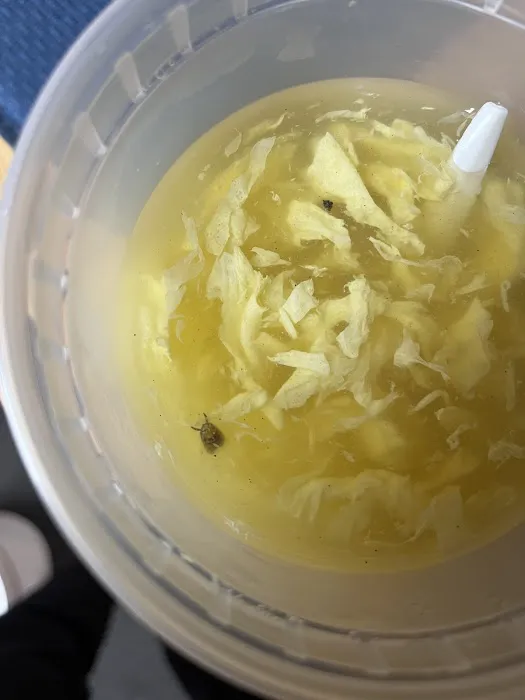 Peking House Picture 6