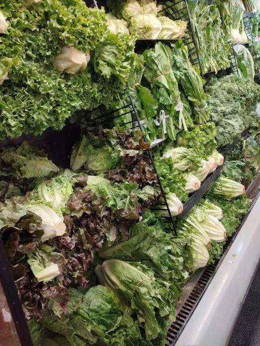 230 Latino Amigo Restaurant Picture 4