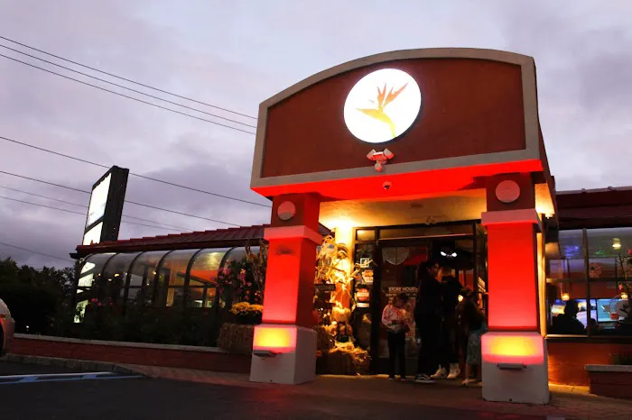 Noches de Colombia Picture 6