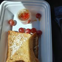 The Diet Fantasy ico