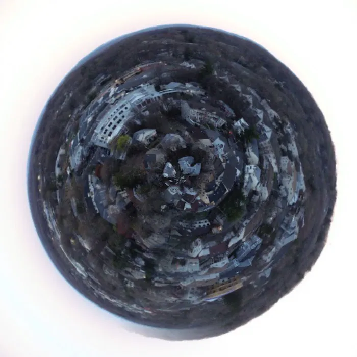 Tropical Delicacy Picture 6