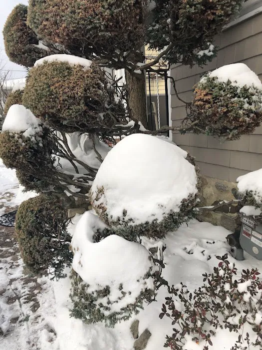 El Rey Del Pollo Picture 9