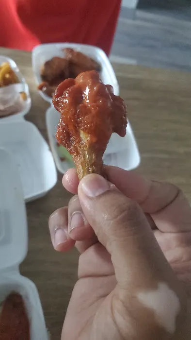 Planet Wings Picture 3