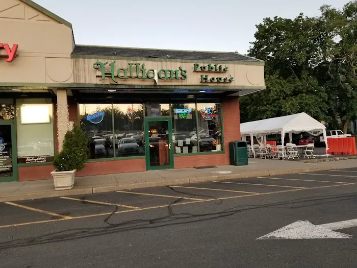 Halligans Public House Picture 7