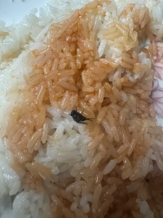 Yummy Chinese restaurant & sushi Inc Picture 5